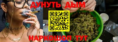 индика Малгобек