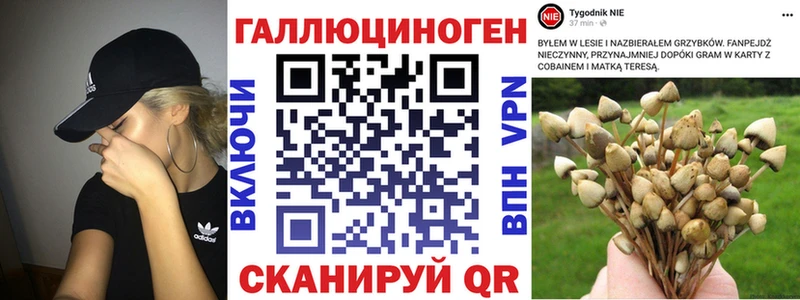 Галлюциногенные грибы прущие грибы  Алексин 