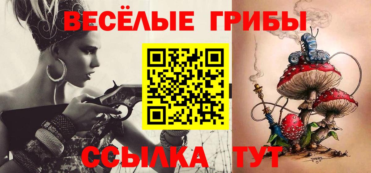 Алексин  Галлюциногенные грибы Psilocybine cubensis  Вход с VPN 
