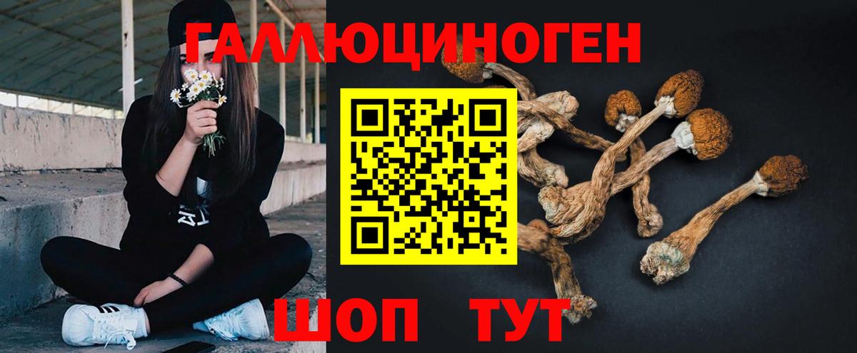Галлюциногенные грибы мицелий Алексин