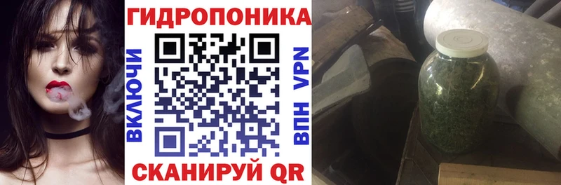 Марихуана планчик  где можно купить наркотик  Алексин 